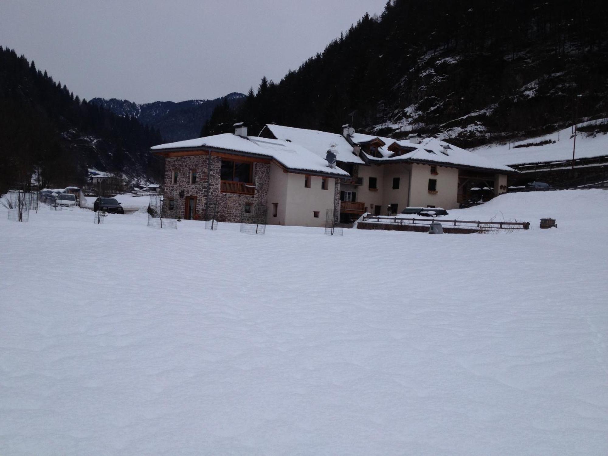 Maso Toneto Hotel Castello-Molina di Fiemme Eksteriør billede